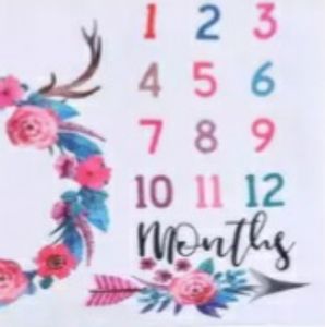 Large Baby Soft Milestone Blanket